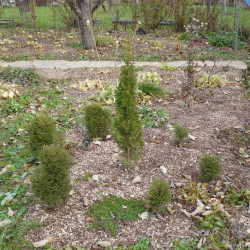 7lxjir-44ybaabd434fe7e28d3