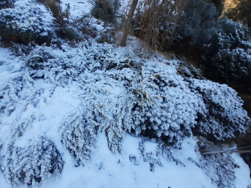 20201211_115104f873f1212afdfb57.jpg