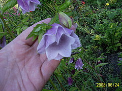 119041178c87169a1af1a4b9fd9448dbf971be5a1.jpg