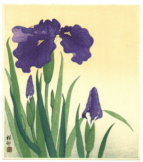 Ohara Koson Flowering iris, 1934