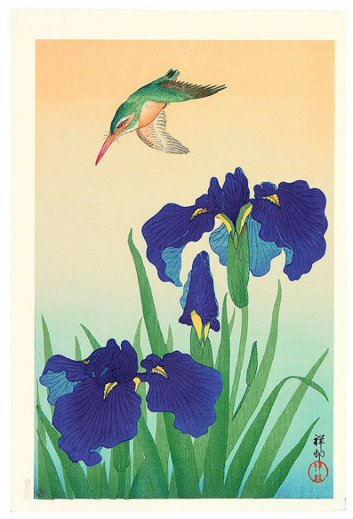 Ohara Koson Iris and Kingfisher, ca. early 20th century
