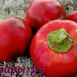 i-519ae0a0a43798a490