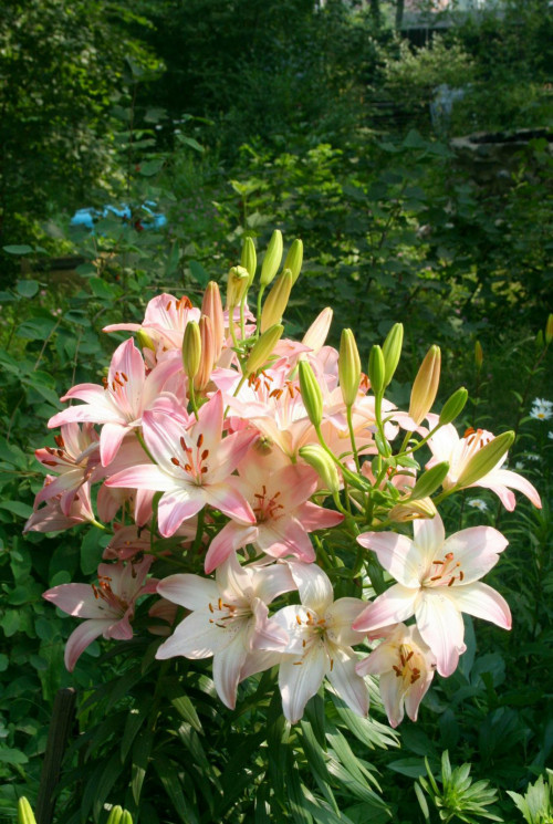 i-222332bbd3e71ee80.jpg