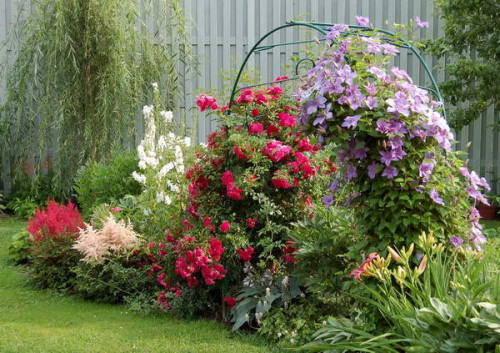 Astilbe++