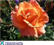 09230c82b0c5t