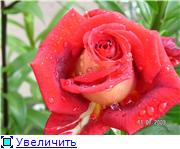 0d7e35118d23t