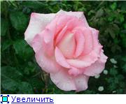 12270a6abdf1t
