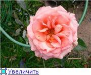 1e18448f90a4t
