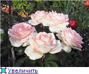 2e59f4b825b5t