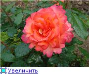 2ff4843f2f20t