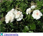 4644c85dc4d2t