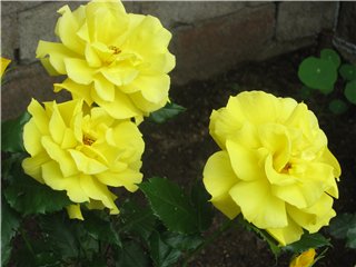 4f07fe4afa81