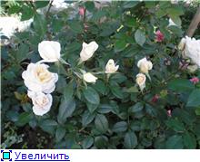 4fce8ef27edet