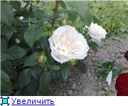 50c3f22ee42ft