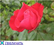 6e7c29f97de5t
