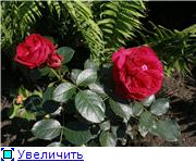 7cd502216a53t