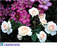 8e992a482451t