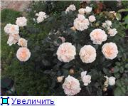 99d169eec837t