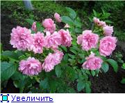 9d1199492a82t