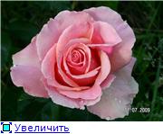 b0a97de42779t