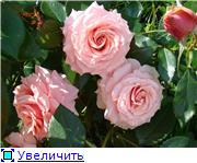 bbfe7df08dc9t