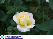 d663ae401622t