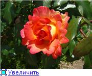 f38caa9dc293t