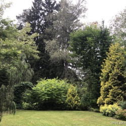 31903422e7901feeead6e713